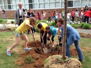 Students Digging